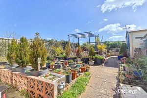 Photo 10- click for photo gallery